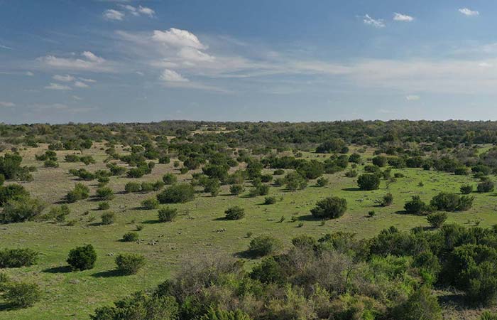 The Ranches at Star Hollow